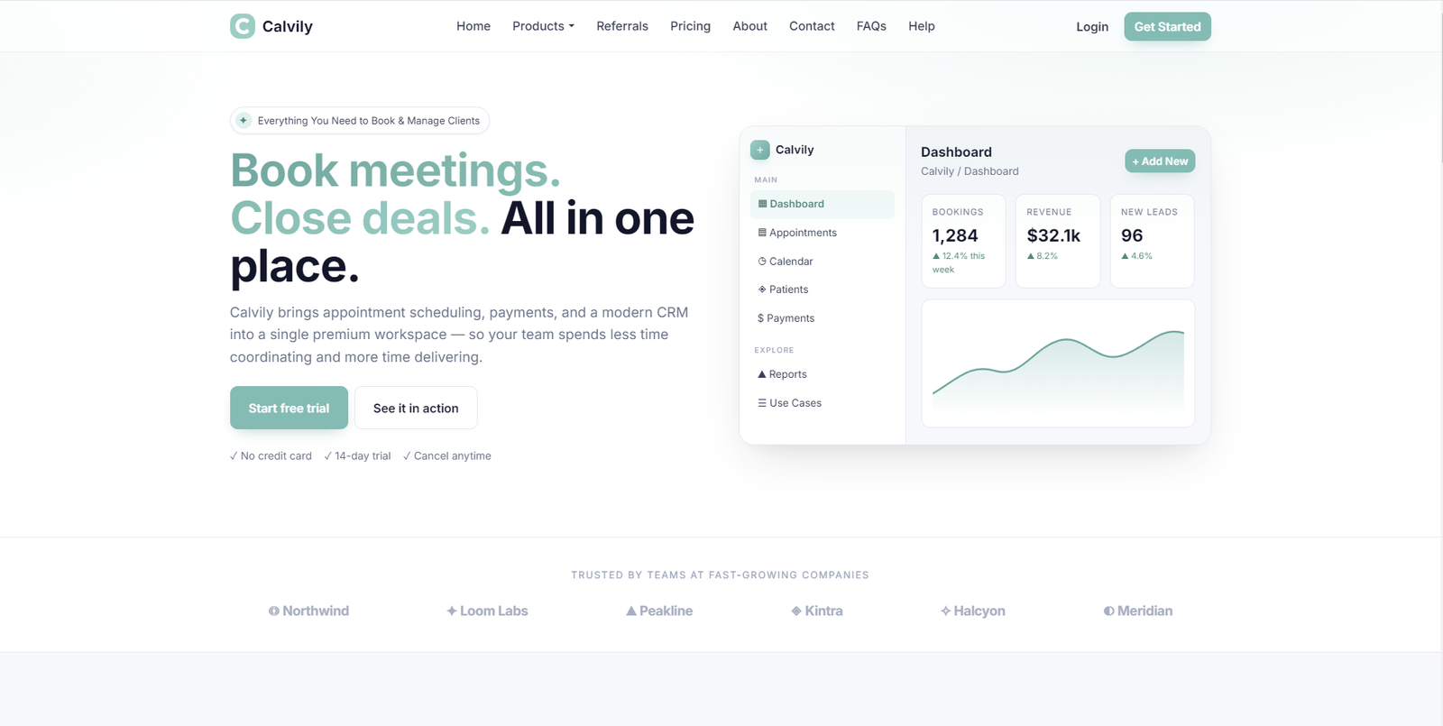 Calvily website preview