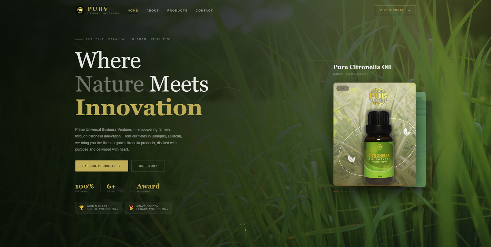 Pub Ventures website preview