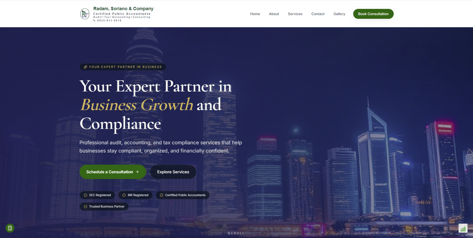 Radam CPA website preview